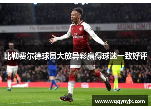比勒费尔德球员大放异彩赢得球迷一致好评