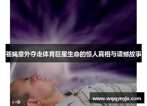 苍蝇意外夺走体育巨星生命的惊人真相与遗憾故事