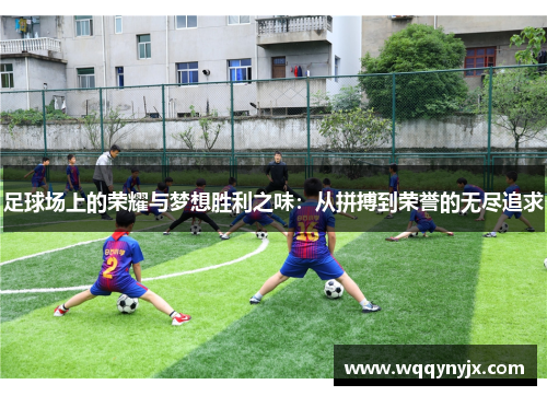 足球场上的荣耀与梦想胜利之味：从拼搏到荣誉的无尽追求